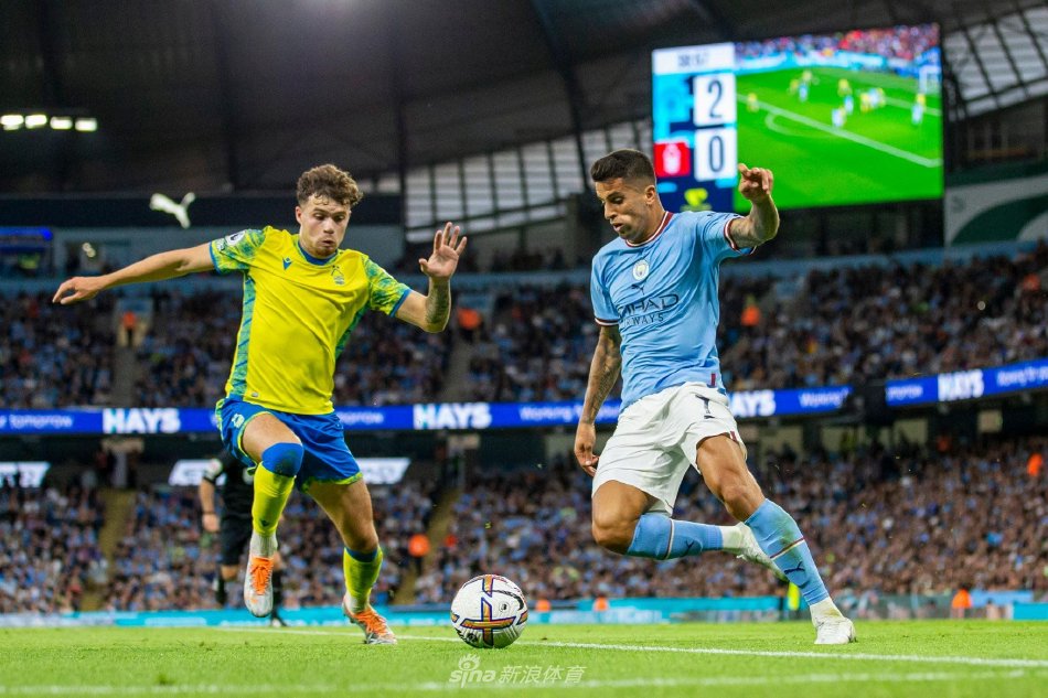 报道引起了 报道引起了